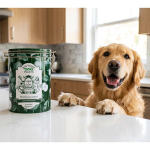 Dog Treat Canister